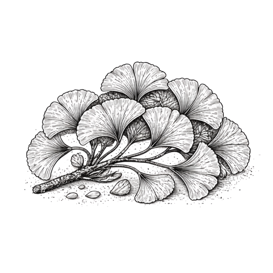 Ginkgo Leaves